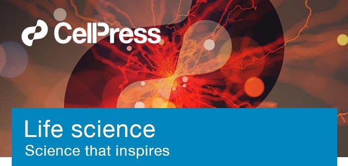 2025新澳门2025原料网