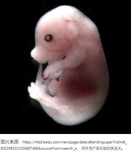 2025新澳门2025原料网